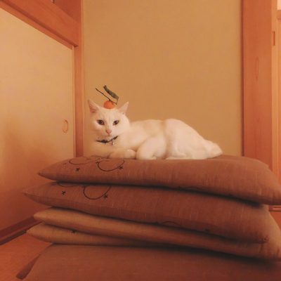 2021年今年も宜しくお願い致します