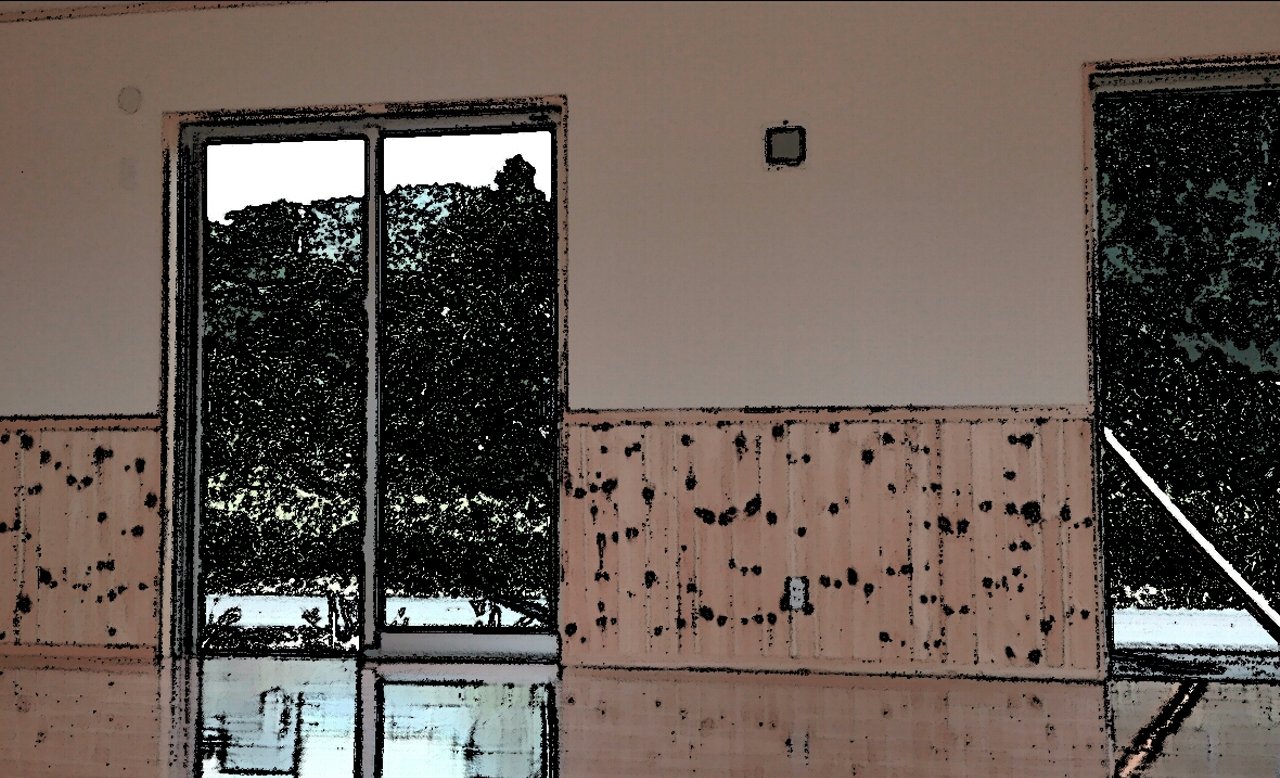 CartoonCamera_1408335634543