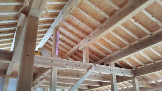 IMG_20160425_151419[1]