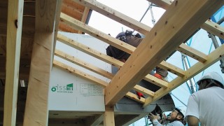 IMG_20160425_160650[1]