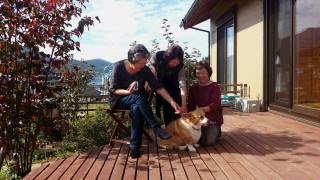 %e8%a6%8b%e5%ad%a6%e8%80%85%e6%a7%98