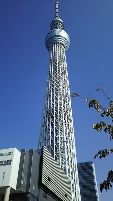 IMG_20171104_123004[1]